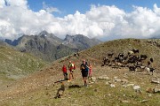 60 Gli amici proseguono facendo il giro inverso fatto da noi ... 